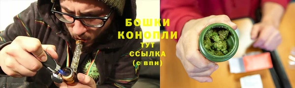 амф Осташков