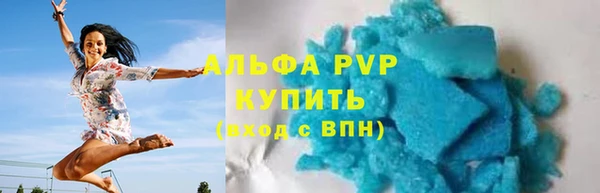 индика Аркадак