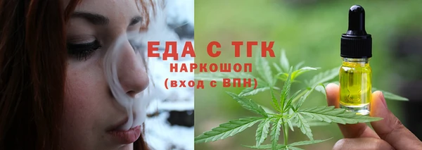 индика Аркадак