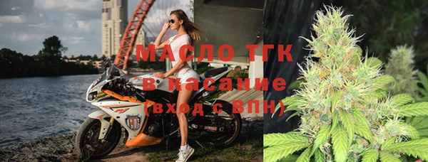 индика Аркадак