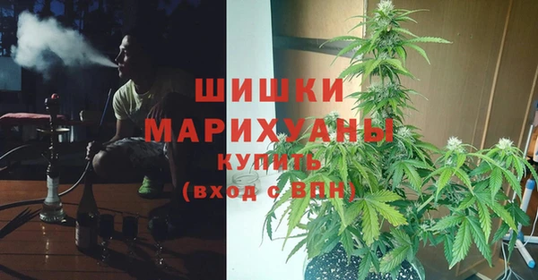 амф Осташков