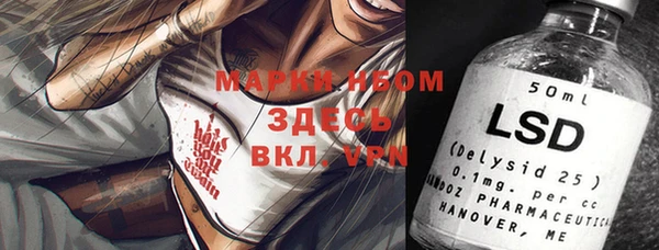 индика Аркадак