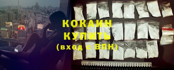 индика Аркадак