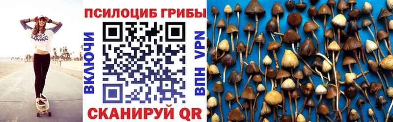 Галлюциногенные грибы Psilocybine cubensis  Армянск 